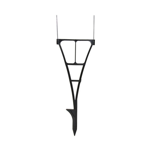 Spider Stakes